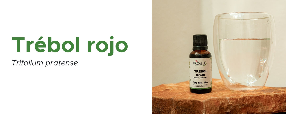Trébol Rojo Extracto · 30 ml