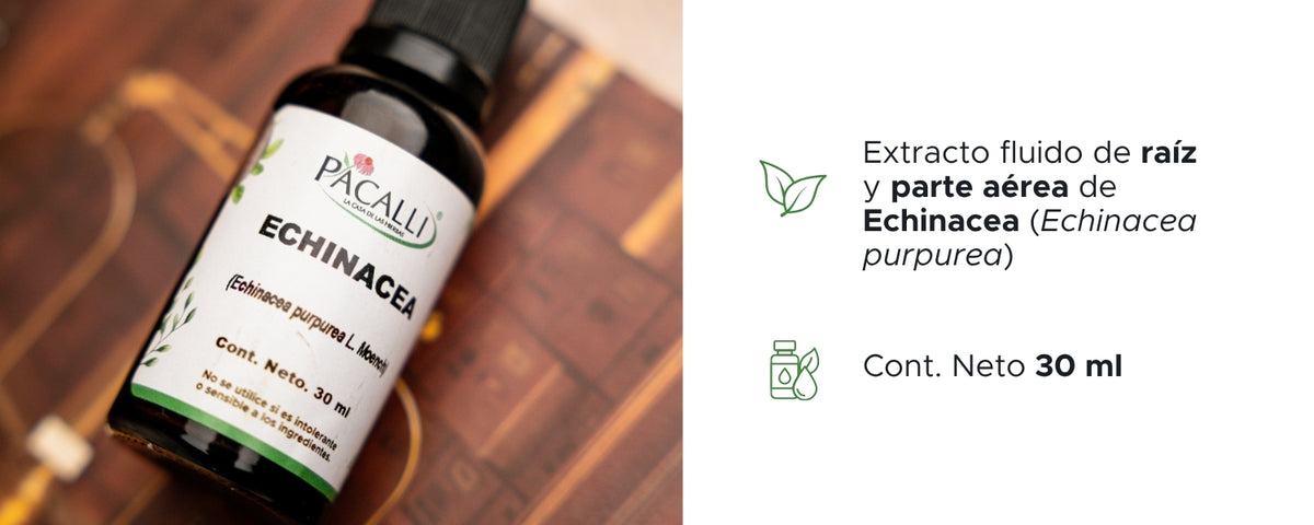 Echinacea Extracto · 30 ml