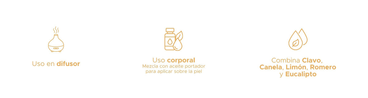 Mezcla Aromática 4 Ladrones (Thieves) PACALLI · Aceites Esenciales 100% Puros · 10 ml