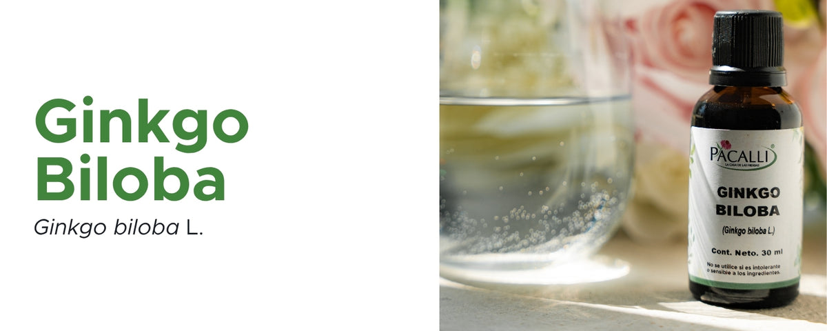 Ginkgo Biloba Extracto · 30 ml
