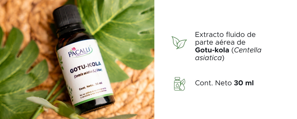 Gotu Kola Extracto · 30 ml