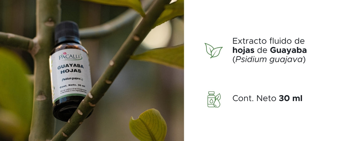 Guayaba Hojas Extracto · 30 ml