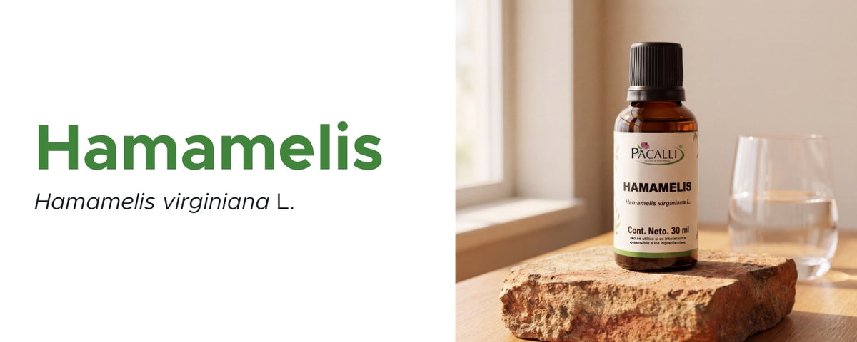 Hamamelis Extracto · 30 ml