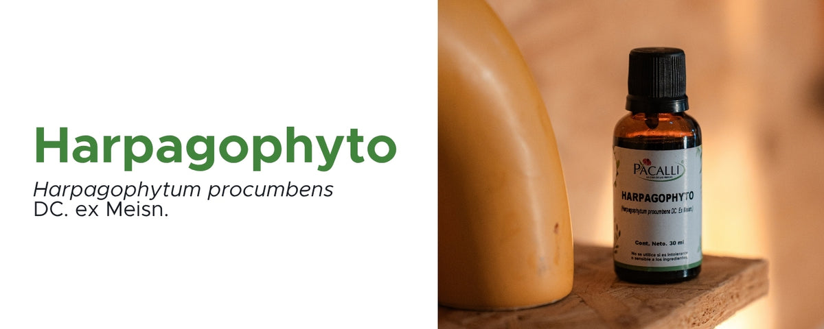 Harpagophyto Extracto · 30 ml
