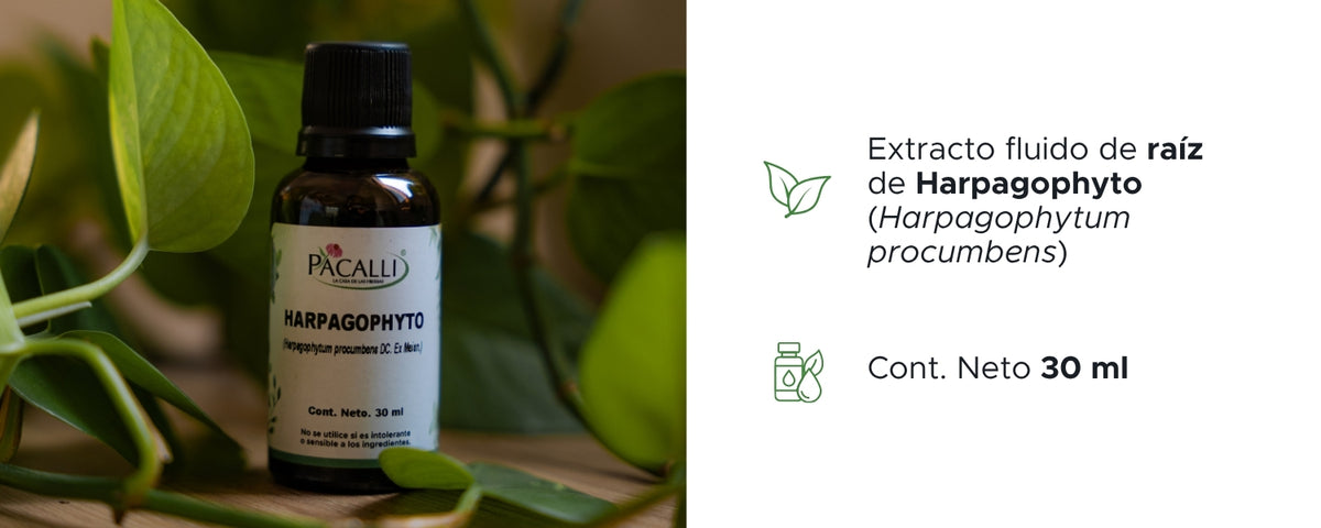 Harpagophyto Extracto · 30 ml