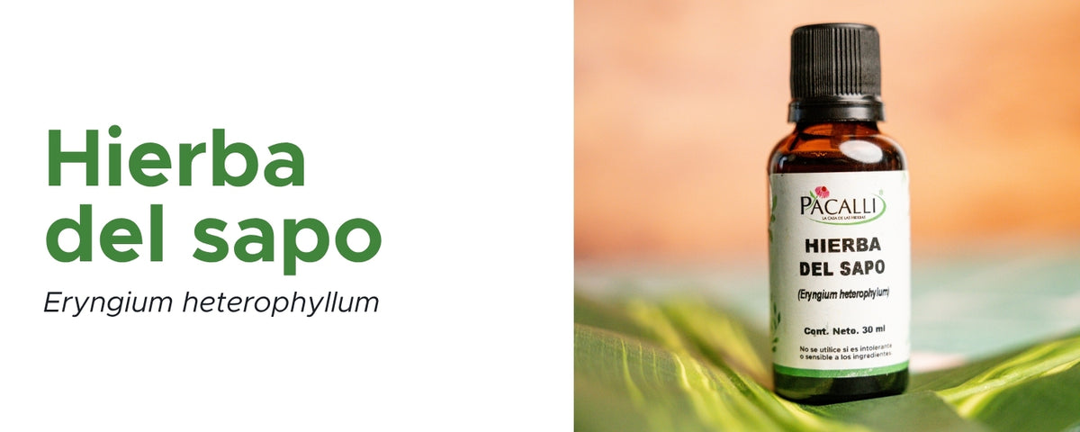 Hierba del Sapo Extracto · 30 ml