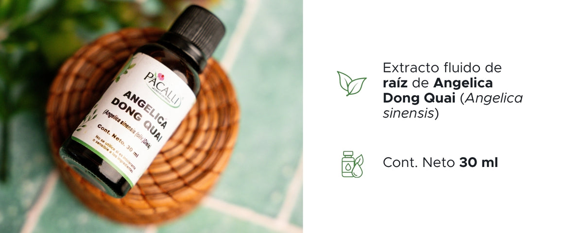 Angelica Dong Quai Extracto · 30 ml