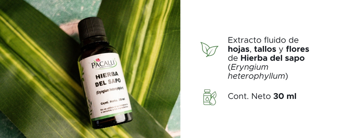 Hierba del Sapo Extracto · 30 ml