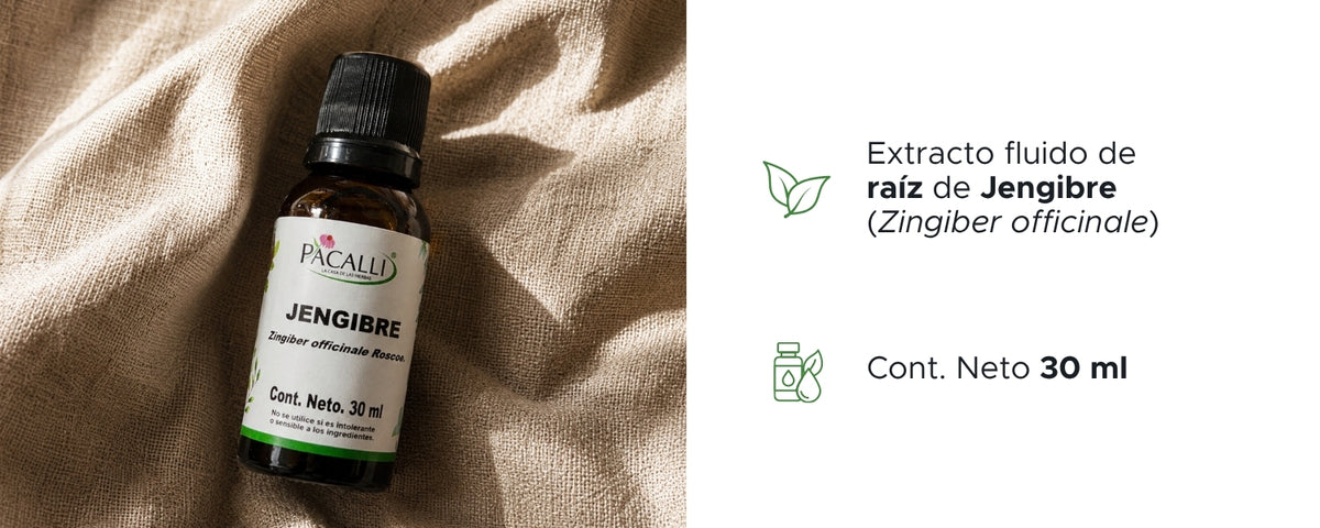 Jengibre Extracto · 30 ml