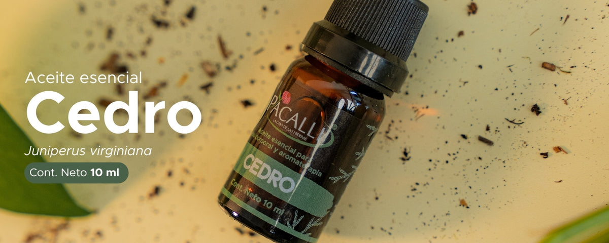 Aceite Esencial de Cedro · 10 ml
