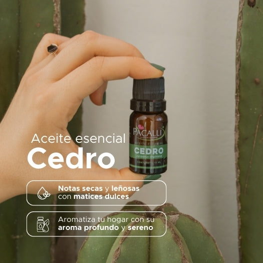 Aceite Esencial de Cedro · 10 ml