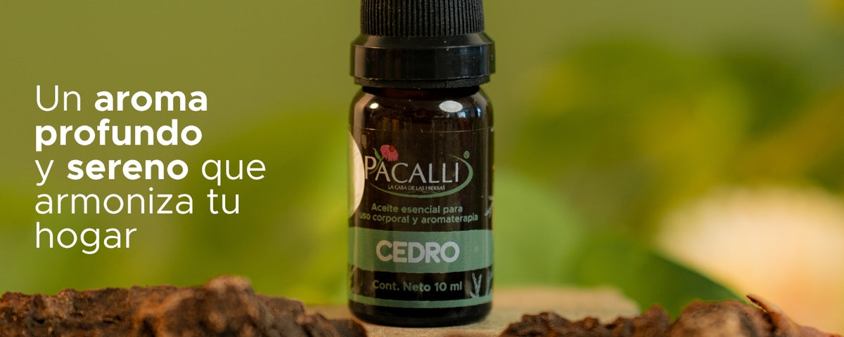 Aceite Esencial de Cedro · 10 ml