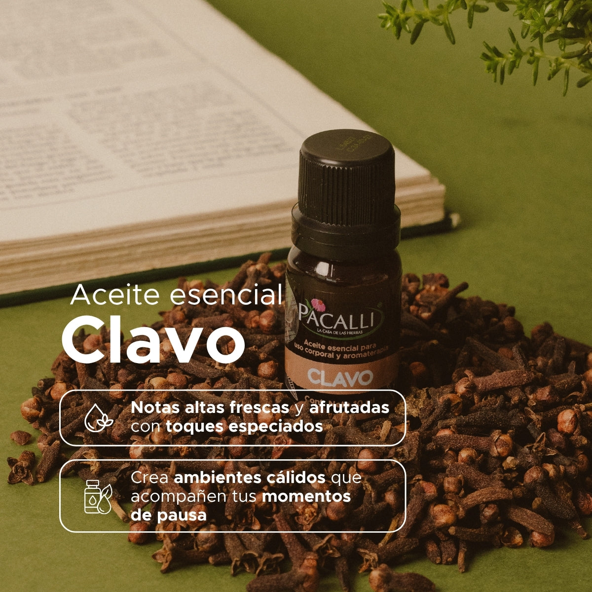 Aceite Esencial de Clavo · 10 ml