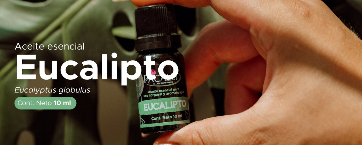 Aceite Esencial de Eucalipto · 10 ml