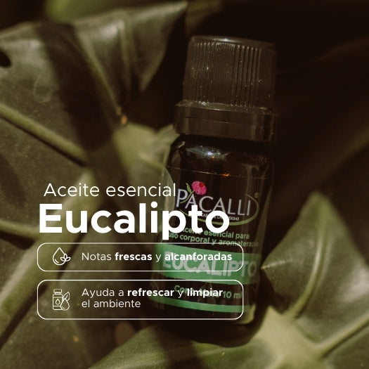 Aceite Esencial de Eucalipto · 10 ml