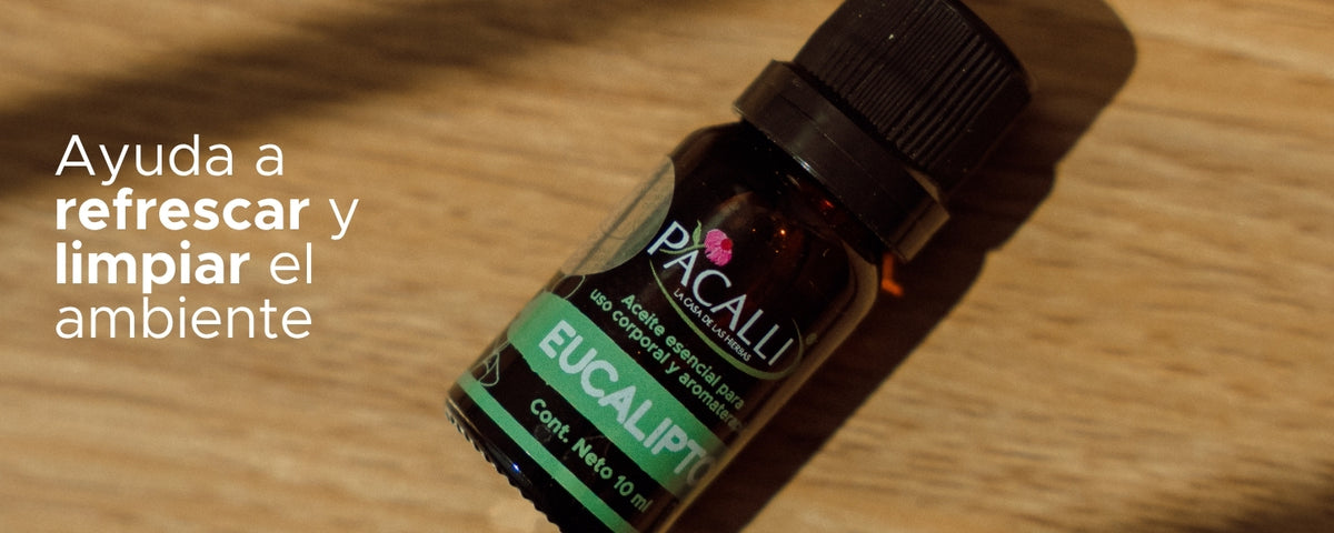 Aceite Esencial de Eucalipto · 10 ml