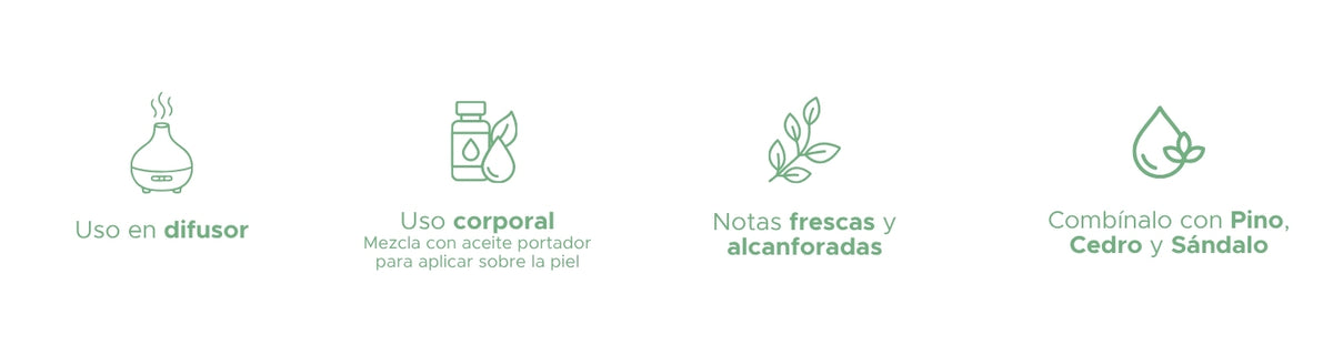 Aceite Esencial de Eucalipto · 10 ml