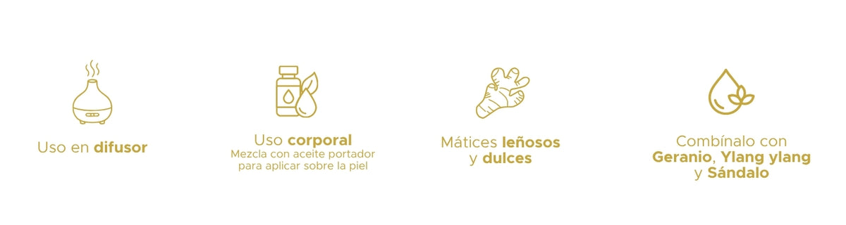 Aceite Esencial de Jengibre · 10 ml