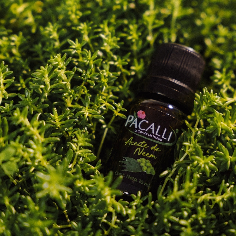 Aceite de Neem PACALLI · Cuidado y Pureza · 10 ml