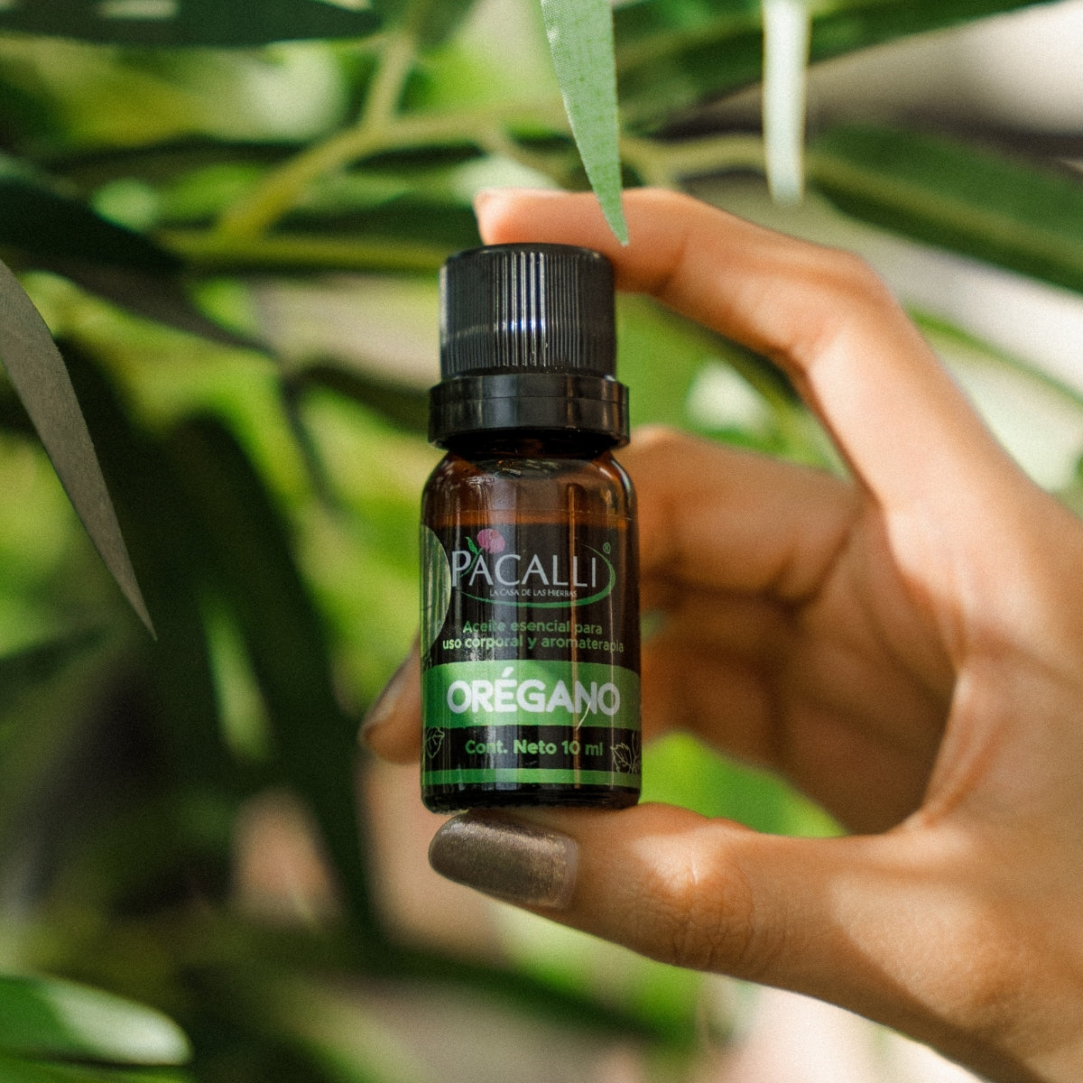 Aceite Esencial de Orégano · 10 ml