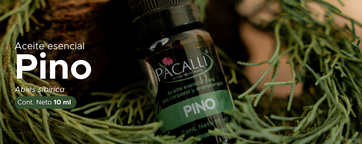 Aceite Esencial de Pino · 10 ml