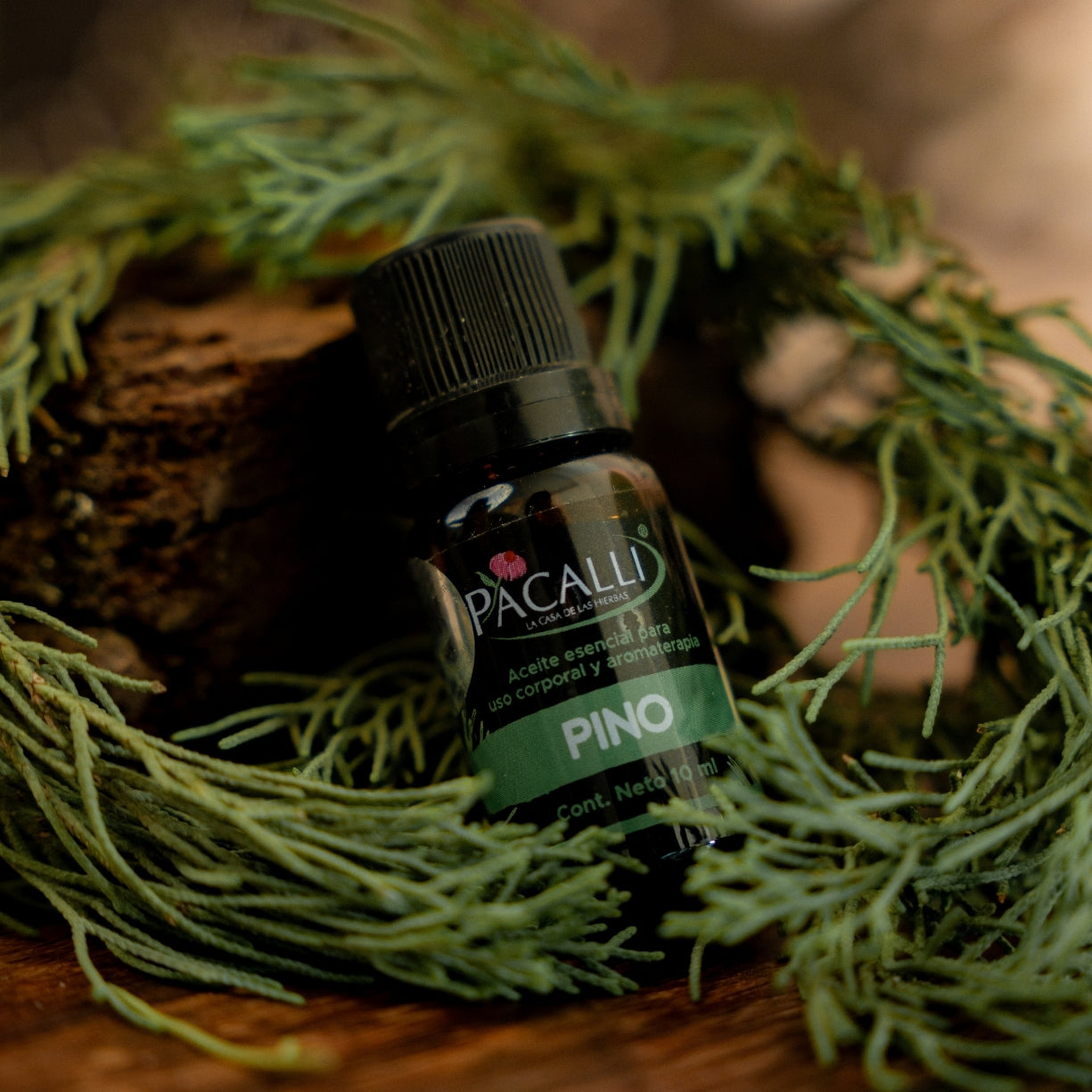 Aceite Esencial de Pino · 10 ml