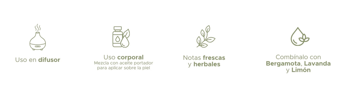 Aceite Esencial de Tomillo · 10 ml