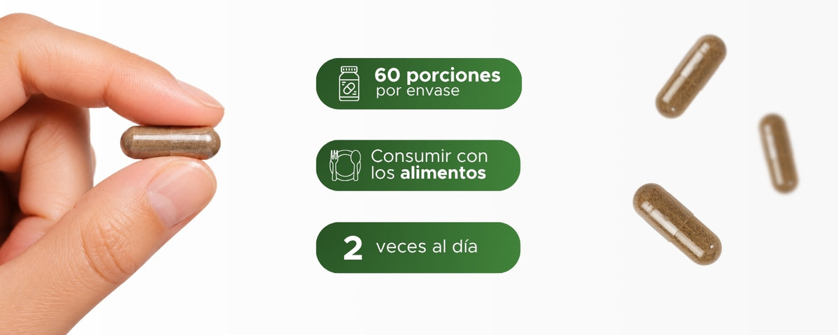 Ajo Negro | Bulbo en polvo | 600 mg · 60 caps