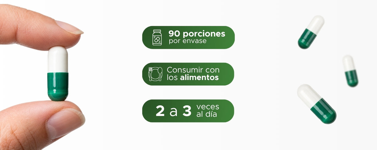 Ajo con Perejil | Extracto de bulbo de ajo seco | 550 mg · 90 Caps