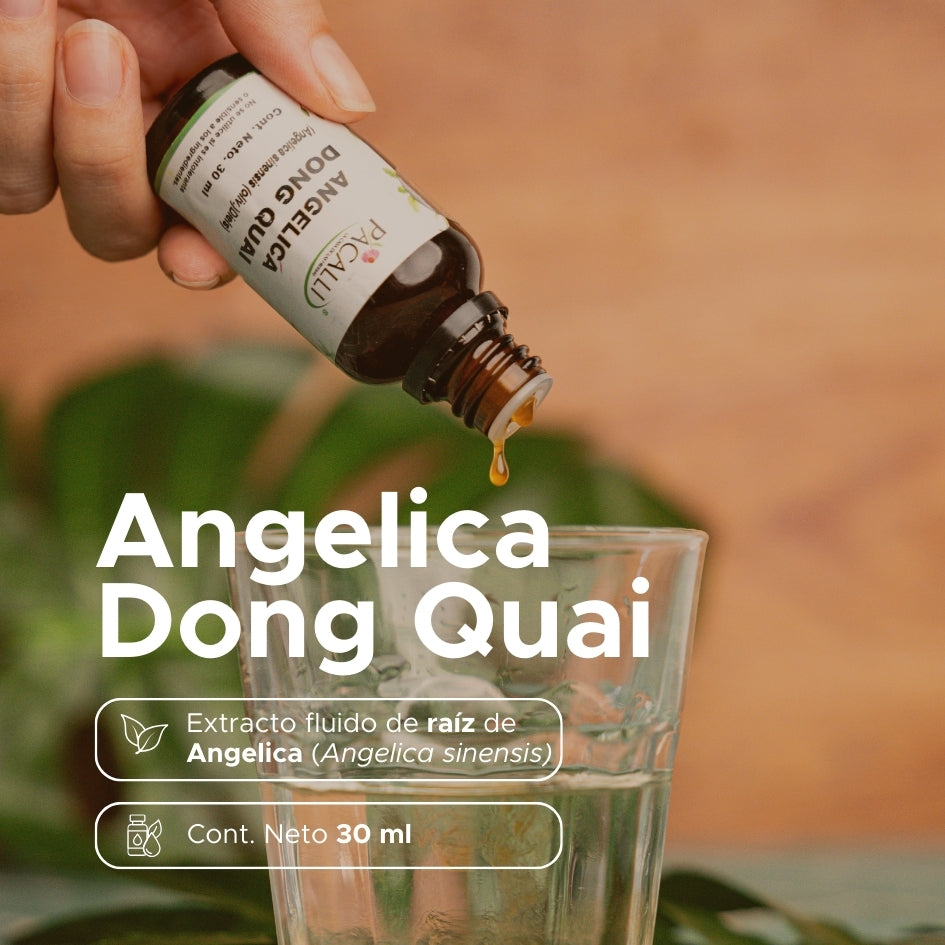 Angelica Dong Quai Extracto · 30 ml