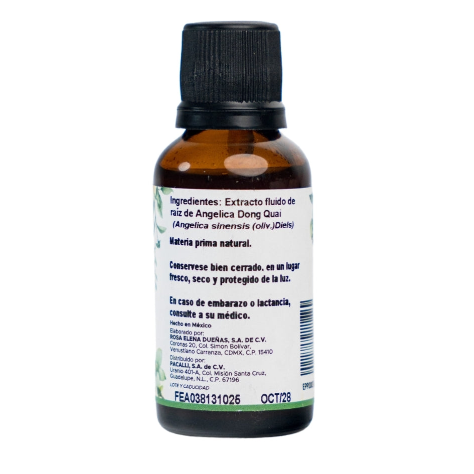 Angelica Dong Quai Extracto · 30 ml