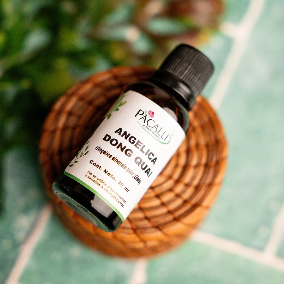 Angelica Dong Quai Extracto · 30 ml