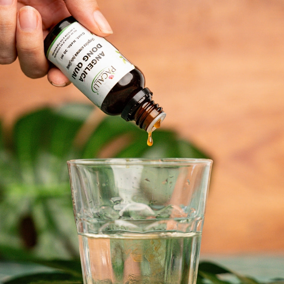 Angelica Dong Quai Extracto · 30 ml