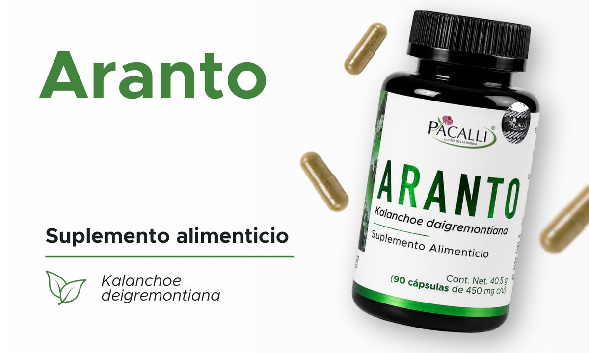 Aranto | Hoja de Kalanchoe en polvo | 450 mg · 90 caps