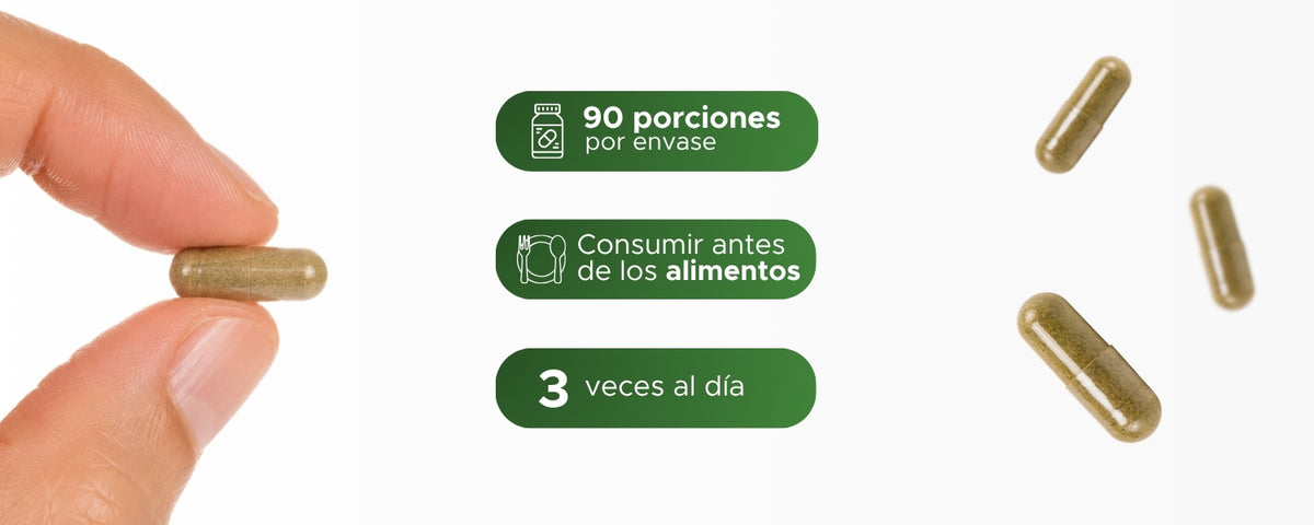 Aranto | Hoja de Kalanchoe en polvo | 450 mg · 90 caps