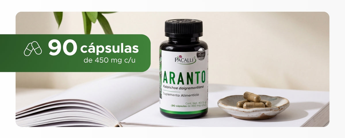 Aranto | Hoja de Kalanchoe en polvo | 450 mg · 90 caps