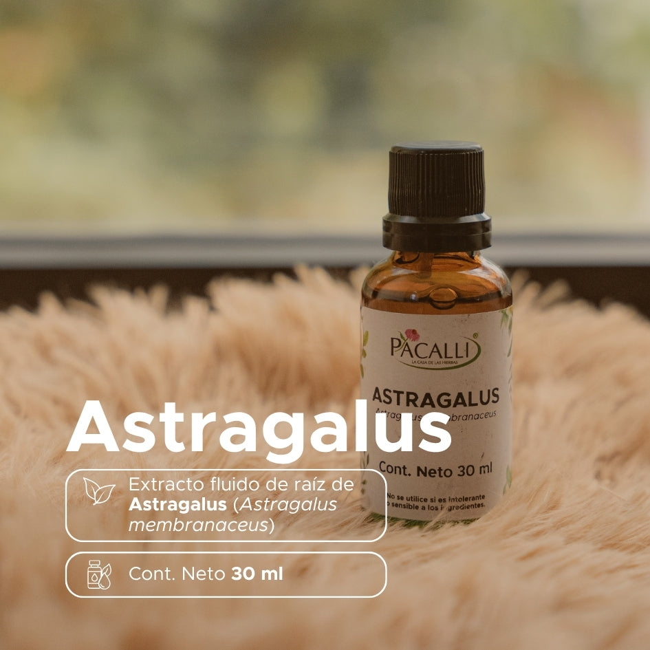 Astragalus Extracto · 30 ml