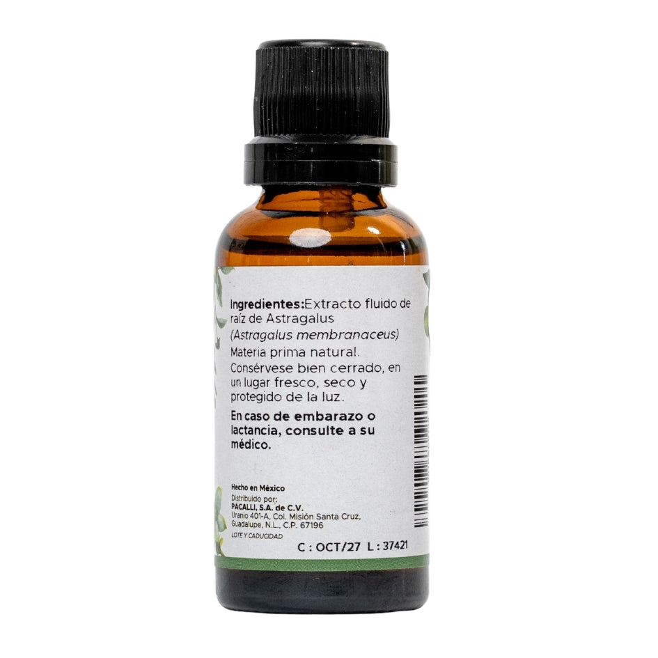 Astragalus Extracto · 30 ml