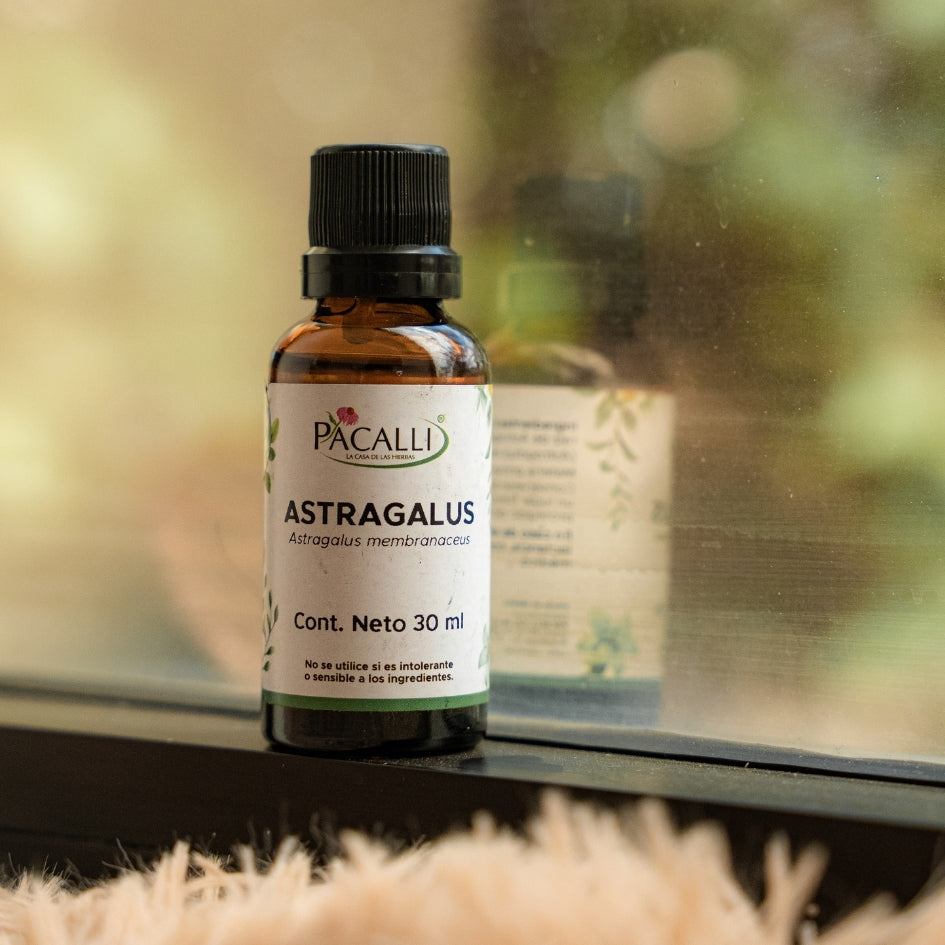 Astragalus Extracto · 30 ml
