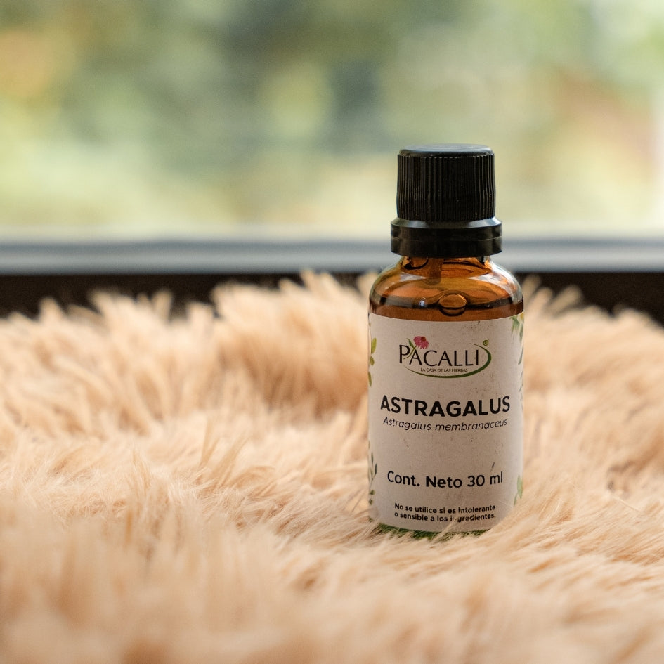 Astragalus Extracto · 30 ml
