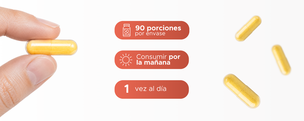 B-Complex | Complejo B + Vitaminas y Colágeno | 550 mg · 90 cápsulas