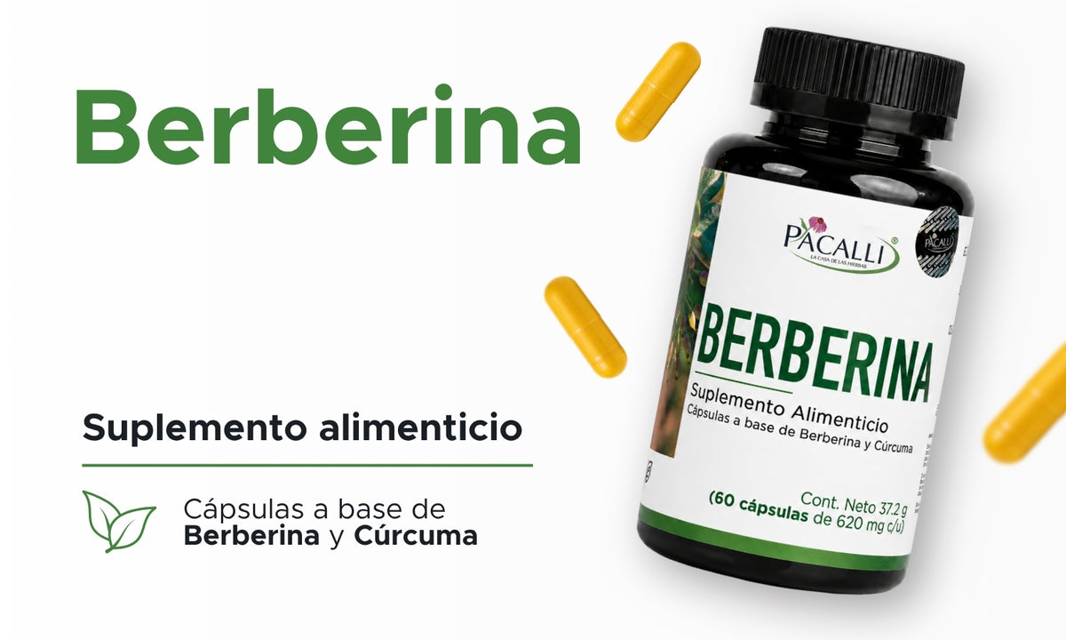 Berberina | Berberis aristata con Cúrcuma | 620 mg · 60 caps