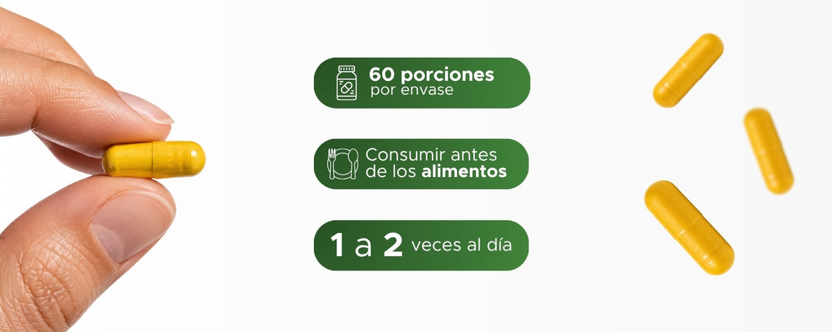 Berberina | Berberis aristata con Cúrcuma | 620 mg · 60 caps
