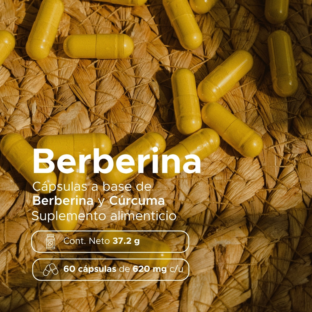 Berberina | Berberis aristata con Cúrcuma | 620 mg · 60 caps
