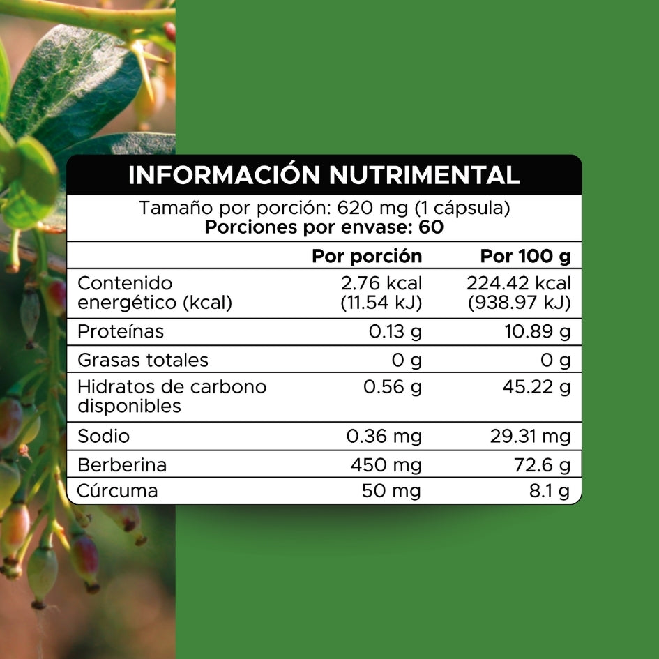 Berberina · 60 caps