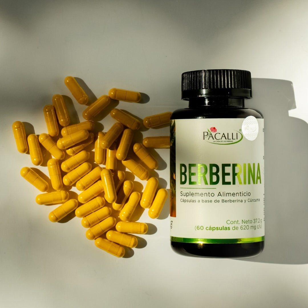 Berberina | Berberis aristata con Cúrcuma | 620 mg · 60 caps