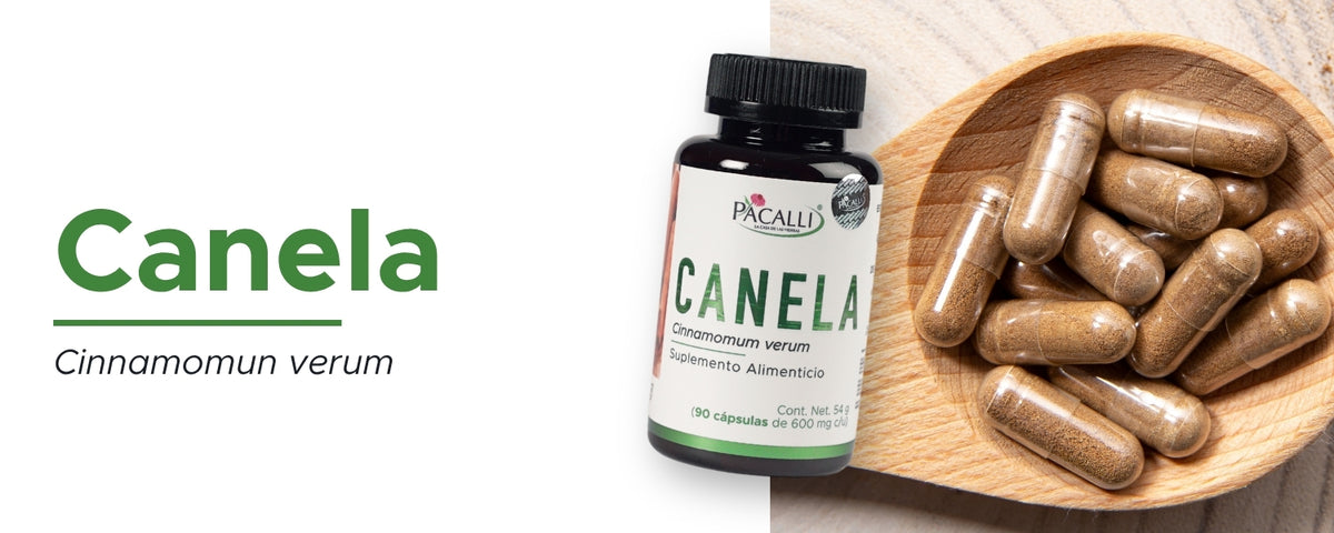 Canela · 90 caps