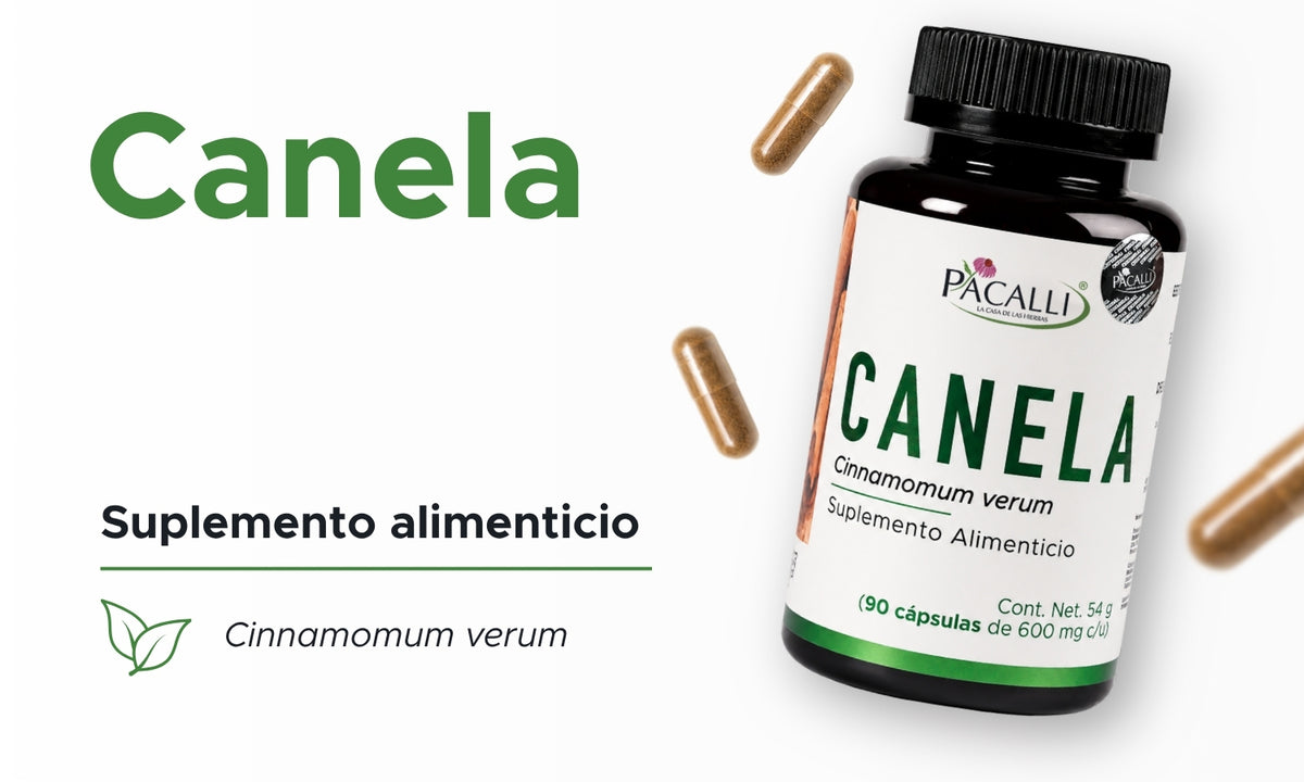 Canela | Cinnamomum verum en polvo | 600 mg · 90 caps