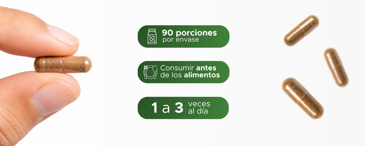 Canela | Cinnamomum verum en polvo | 600 mg · 90 caps