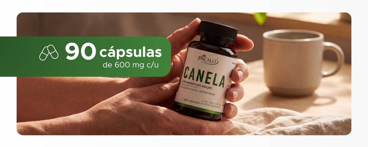 Canela | Cinnamomum verum en polvo | 600 mg · 90 caps